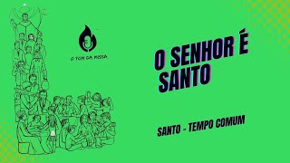 O Senhor é Santo SANTO  TEMPO COMUM [upl. by Culley871]