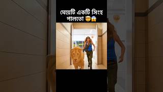 মেয়েটি একটি সিংহ পালতো 🤯😱 shorts shortsfeed lion [upl. by Jerusalem]