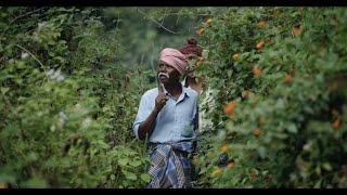 Community Forest Rights  Documentary film  Coimbatore  Tamil Nadu [upl. by Castara667]