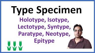 Type Specimen  Nomenclature Type  Typification in botany [upl. by Anez]