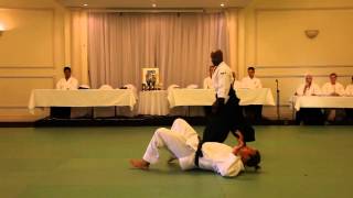 Excellent Aikido Demonstration [upl. by Pulcheria]