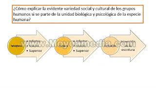 1 EVOLUCIONISMO [upl. by Icats979]