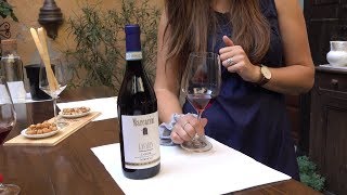 Italian Winery Tour Making Barolo and other Great Wines [upl. by Mou]