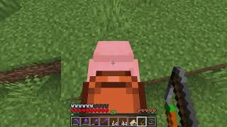 How to Make an EASY Carrot Farm in Minecraft 117 24000 Carrots Per Hour [upl. by Einotna]