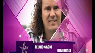 Zeljko Sasic  Dovidjenja  PINK MUSIC FESTIVAL 2014 [upl. by Nylsirk619]