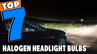 Top 7 Best Halogen Headlight Bulbs Review in 2024 [upl. by Volin]