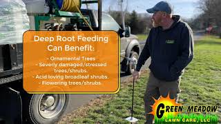 Deep Root Feeding  Tree Fertilization for Your Landscape [upl. by Jarlath]