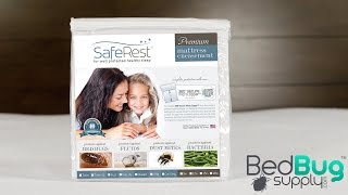 SafeRest Bed Bug Mattress Cover Review [upl. by Lasko]