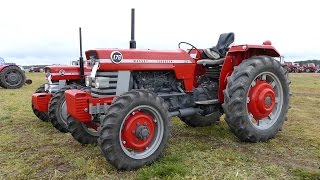 Massey Ferguson 135 amp 178  4WD  Walkaround  American Ferguson Days  Tjele Gods [upl. by Philly418]