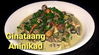 Ginataang Aninikad  How to Cook Ginataang Aninikad  Quick and Easy Ginataang Aninikad Recipe [upl. by Ettinger672]