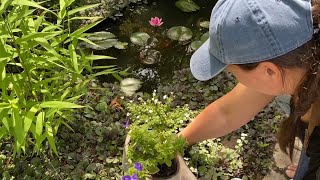 🪴 Patio Planting  How to Make Compost in Place 🪴 [upl. by Evalyn415]