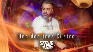 Steve Levi  Uno dos tres Cuatro Official Music Video [upl. by Camellia436]