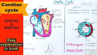 Cardiac cycle  Systole and Diastole  Easy explanation in hindi [upl. by Freeland]