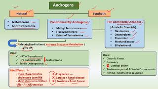 Androgens amp AntiAndrogens  Drugs  uses [upl. by Arais]