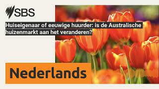 Huiseigenaar of eeuwige huurder is de Australische huizenmarkt aan het veranderen  SBS Dutch [upl. by Elmer601]