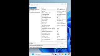 Windows System Information Msinfo32 windows viral computer tech [upl. by Asirrak]