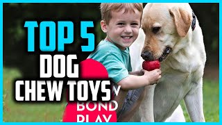 ✅Top 5 Best Dog Chew Toys in 2024 [upl. by Omor257]