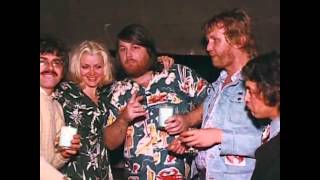 Brian Wilson  Jim Pewter Interview 1974 audio [upl. by Oidacra]