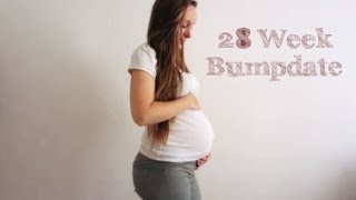 28 Week Pregnancy Update  Baby 2  Blood Test Results [upl. by Ylremik216]