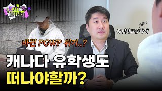 캐나다 유학생도 힘들다 앞으로 PGWP이렇게 바뀝니다 [upl. by Ahsiekim660]