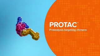 How it Works Proteolysis Targeting Chimeras PROTAC® degraders [upl. by Yrreg]