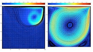 CAVITY FLOW latticeBoltzmann method in MATLAB [upl. by Odell]