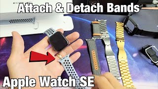 Apple Watch SE How to Attach amp Detach Bands [upl. by Hserus581]