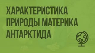 Характеристика природы материка Антарктида Видеоурок по географии 7 класс [upl. by Eerihs]