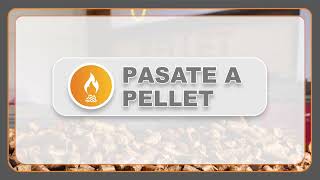 PROMOCION PELLET DESCUENTO [upl. by Haskins86]