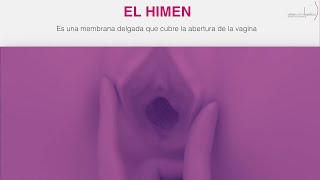 Precio Himenoplastia en 2022 Reconstrucción del Himen  Qué es  Antes y después Dr Jorge García [upl. by Notsruht]