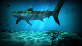 Shark Pack For Ocean HD Live Wallpaper [upl. by Anileda899]