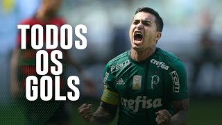 TODOS OS GOLS DE DUDU PELO PALMEIRAS [upl. by Yelrebmyk]