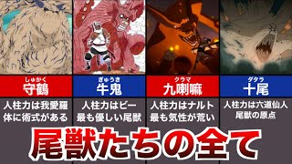 【NARUTO】ナルトに登場する全ての尾獣について徹底解説【ナルトボルト解説】 [upl. by Glory]