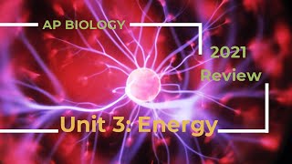 AP Biology Unit 3 Review [upl. by Eecyaj]