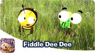 Fiddle Dee Dee [upl. by Lonni924]