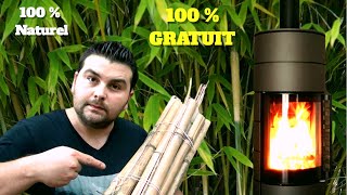 Le BAMBOU  bois de chauffage alternatif 100  gratuit [upl. by Nanreh317]