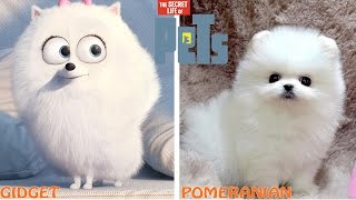 The Secret Life of Pets Characters in Real Life [upl. by Hall]