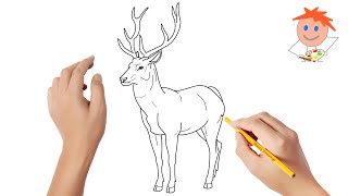 How to draw a deer  Easy drawings [upl. by Nwahsud]