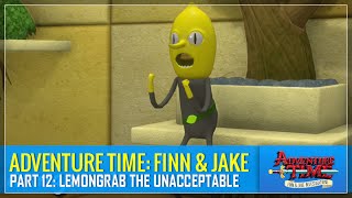 Adventure Time Finn amp Jake Investigations  Part 12 Lemongrab the Unacceptable [upl. by Braun]