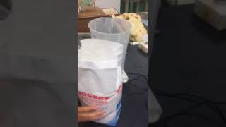 Making Sucrose solution 1 [upl. by Nicko]