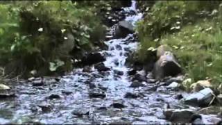 Ruscelli sound of nature Alpine stream  Relax [upl. by Levi224]