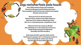 Bagian Tubuh Hewan  Fungsi Bagian Tubuh Hewan  IPA  Geniora SayaBisa [upl. by Refotsirc]