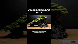 Starting a Bonsai is Easy Hawthorn [upl. by Anola]