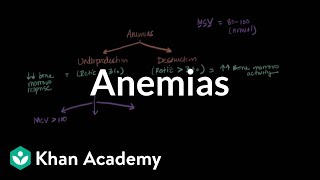 Microcytic normocytic and macrocytic anemias  NCLEXRN  Khan Academy [upl. by Zeret]