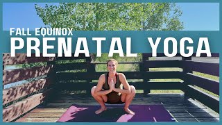 Fall Equinox Prenatal Yoga  1st 2nd and 3rd trimester  30minute Yoga Practice [upl. by Schultz575]