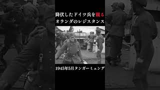 【資料映像】降伏したドイツ兵を蹴るレジスタンス 戦争 ww2 ドイツ軍 軍人 第二次世界大戦 [upl. by Euell]