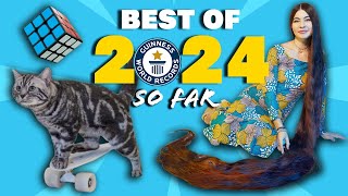 BEST WORLD RECORDS of 2024 so far  Guinness World Records [upl. by Lovett]