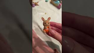 micro mini sylvanian families sylvanianfamily toys trend fy [upl. by Perkins]