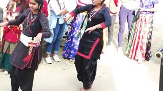 Newarni girls hit dance  Newari cultural dress [upl. by Hubert349]