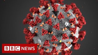 Coronavirus v Influenza How do the two viruses compare  BBC News [upl. by Allix]